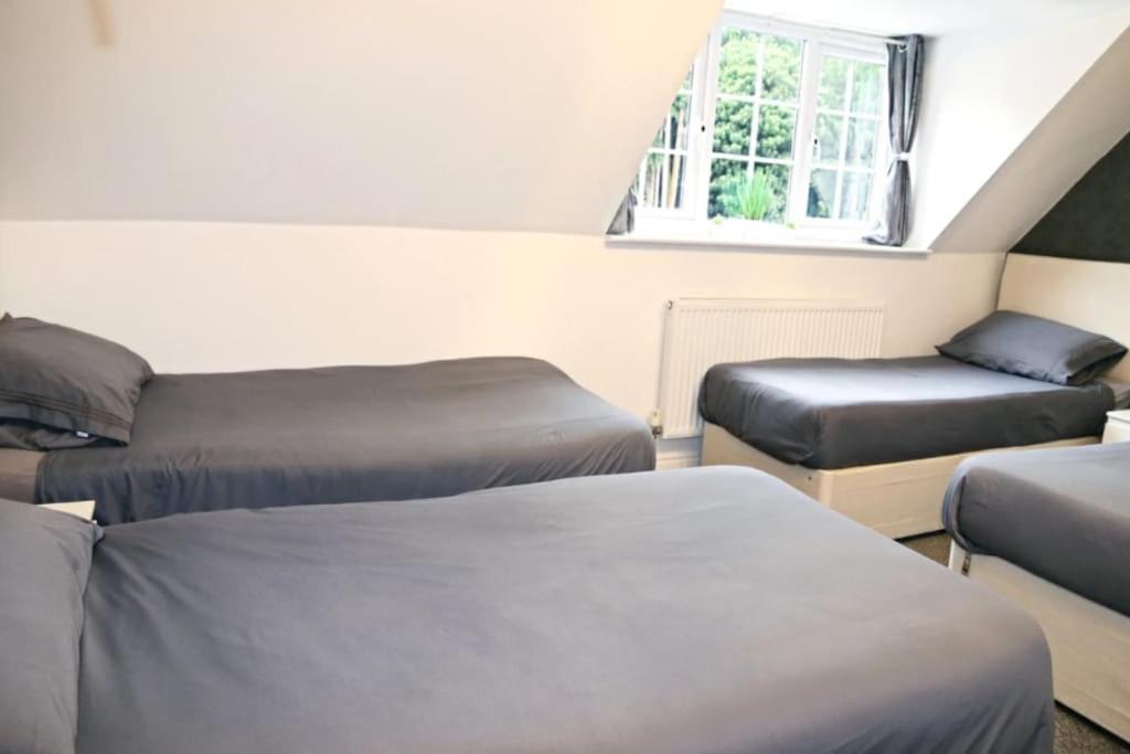 Hen & Stag Retreat Weekend Stay Sleeps 10 To 30 Thetford Ngoại thất bức ảnh
